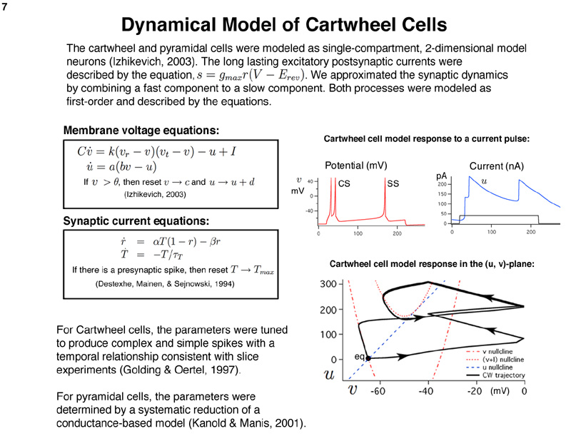 07_modelNeurons